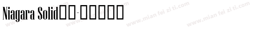 Niagara Solid字体字体转换
